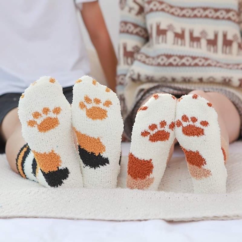 Set 6 đôi tất mèo cho mùa đông