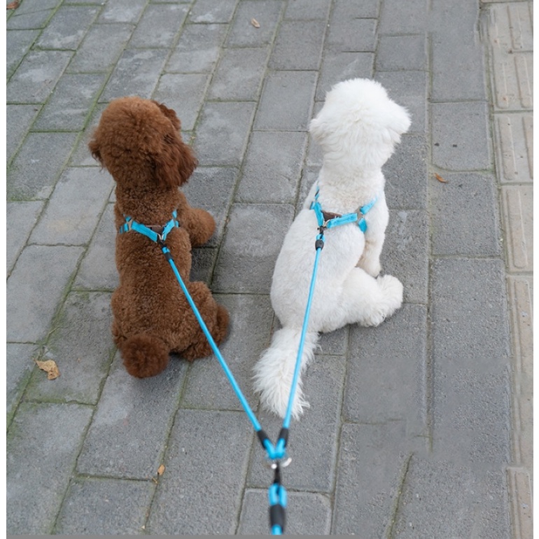 BỘ DÂY DẮT CHÓ MÈO NHIỀU ĐẦU (KHÔNG KÈM YẾM VÀ VÒNG CỔ) -  LOVE PETS SHOP