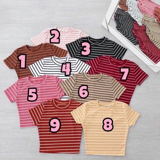 [HÌNH THẬT] ÁO CROPTOP SỌC CỔ TRÒN THUN ÔM BODY CO GIÃN - ÁO KIỂU CRT ULZANG NGẮN TAY 172
