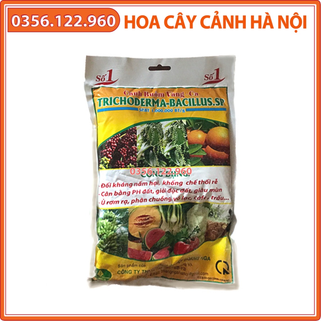 Chế phẩm sinh học Trichoderma - túi 1kg - chuyên ủ phân chuồng, phân hữu cơ, hạn chế nấm đất - Shop hoa cây cảnh Hà Nội