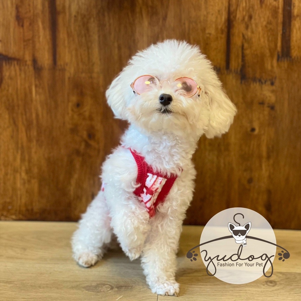 áo dây cho chó mèo thú cưng