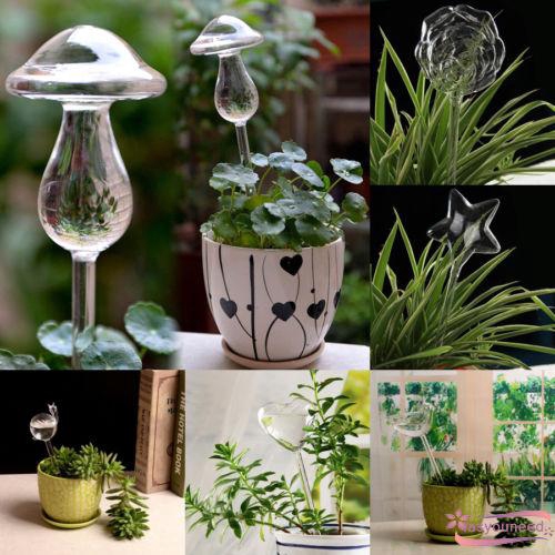 Bình tưới nước cho cây bằng thủy tinh có 6 loại