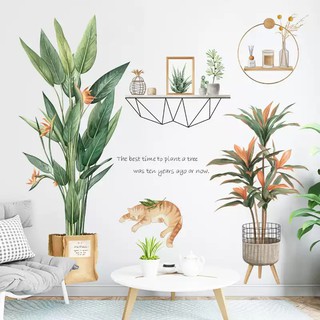 Decal dán tường: Chậu hoa thiên điểu khung trang trí GL208