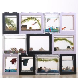 Bể Cá Nhỏ Xinh Siêu Bền Độc Đáo