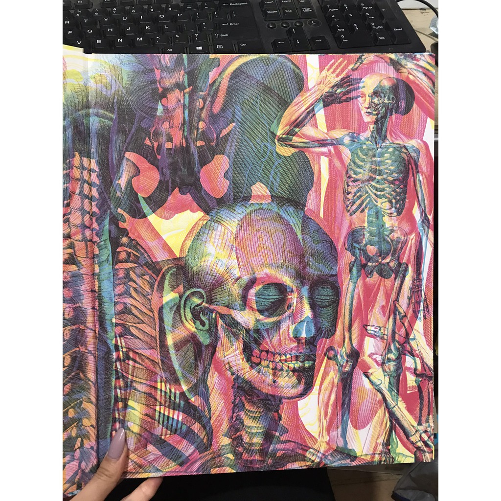 Sách - Illumanatomy - Soi sáng Cơ thể người