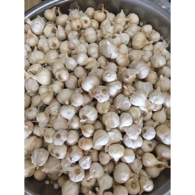 Nem chua cây ninh hoà 500gr | BigBuy360 - bigbuy360.vn