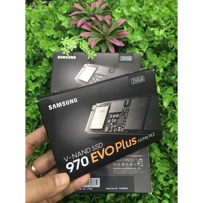 Ổ cứng SSD Samsung 970 EVO Plus 250GB M.2 PCIe NVMe 3x4 (Đọc 3500MB/s - Ghi 2300MB/s)