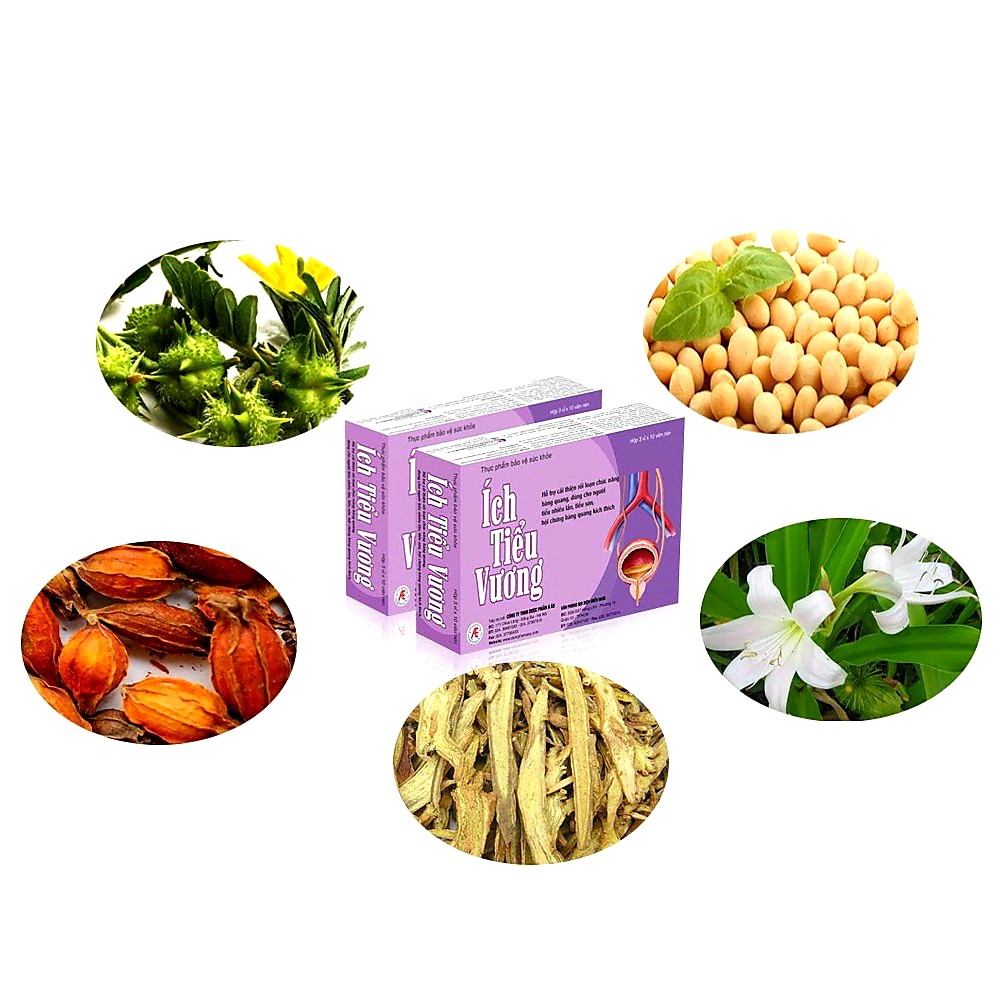 Ích Tiểu Vương - Hỗ trợ Giảm Tiểu Đêm, Tiểu Són, Tiểu nhiều lần, Rối loạn chức năng Bàng Quang (Hộp 120v) [Chính Hãng]