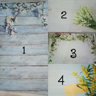 Sale Phông nền 3D - Nền Vinyl