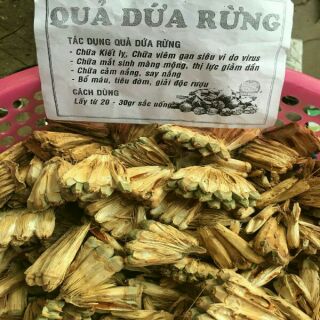 Sỉ giá gốc quả dứa rừng 1kg