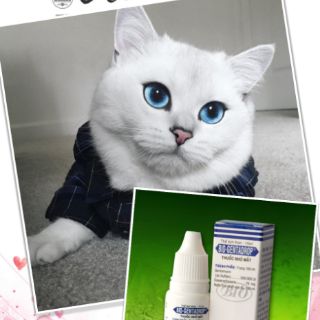 Thuốc nhỏ mắt Bio Genta drop