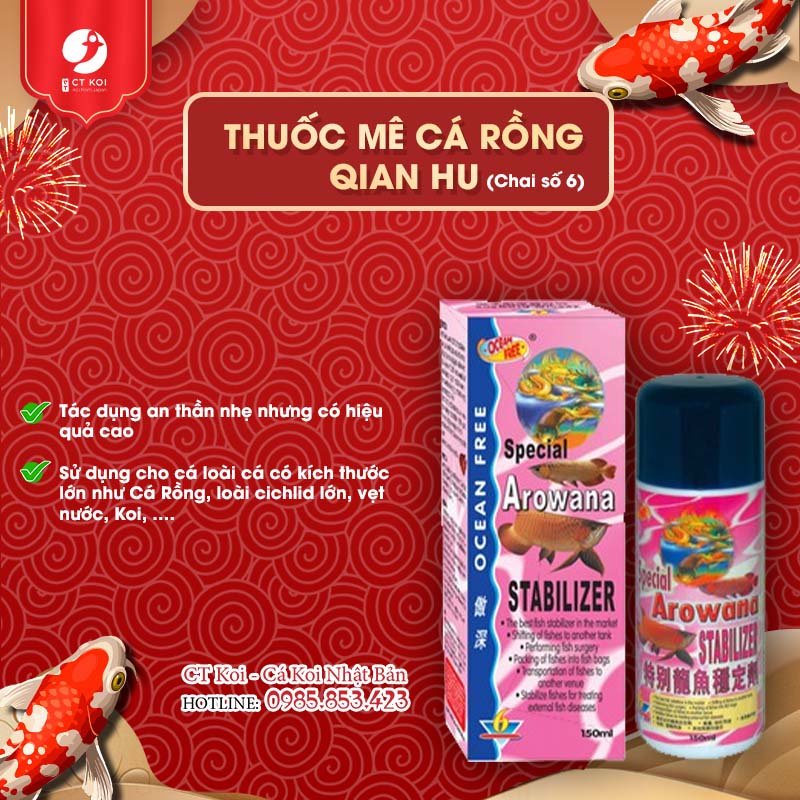 Mê cá rồng Qian Hu (Chai số 6) - [Nhập Khẩu Chính Hãng]