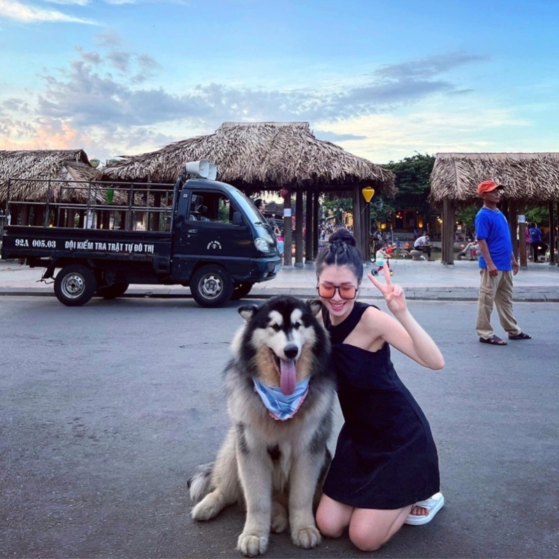 Đầm suông cổ yếm đen trăng