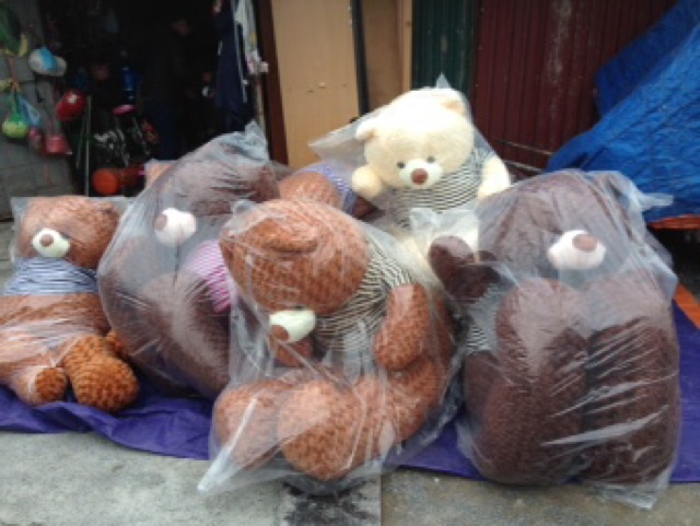 Teddy khổ vải m8