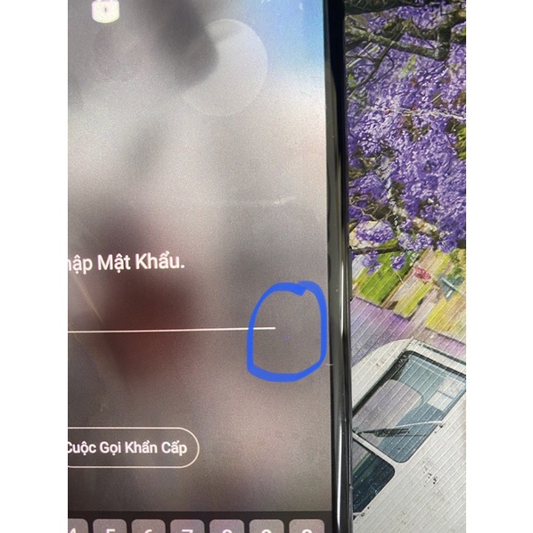 Màn lg v50 kẻ sọc đốm thanh lí