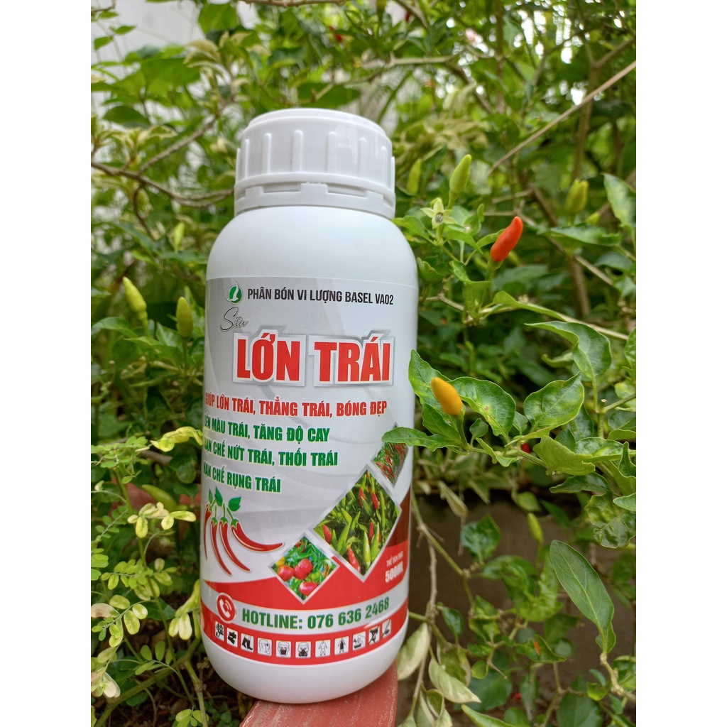 PHÂN BÓN LỚN TRÁI ỚT - GIÚP TRÁI LỚN NHANH, TĂNG ĐỘ CAY, HẠN CHẾ THỐI TRÁI CHAI 500ML