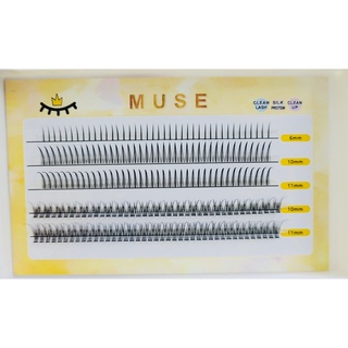 Muse n01, n02 combo 5 hộp lông mi rời