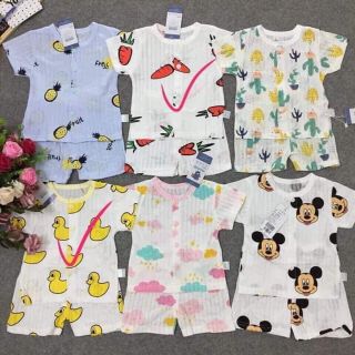 Combo 5 bộ cotton giấy