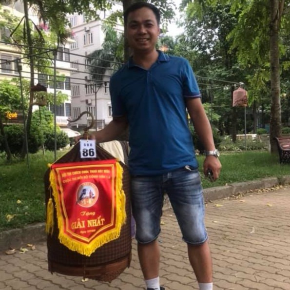 Cám Chim Chích Chòe Hoàng Đại Ca, chim ổn định.