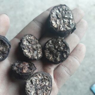 Chuối hột rừng khô
