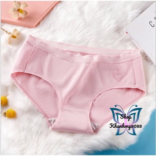Combo 10 quần lót nữ cotton viền in nổi kháng khuẩn có chọn size chọn màu CBQL06