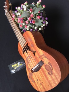 Đàn Ukulele Concert MHĐ CV-65 CB2