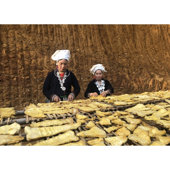 MĂNG KHÔ TÂY BẮC✔️ Măng Nứa Khô Loại 1 Điên Biên  ĐẶC SẢN TÂY BẮC Gói 500g- 1kg