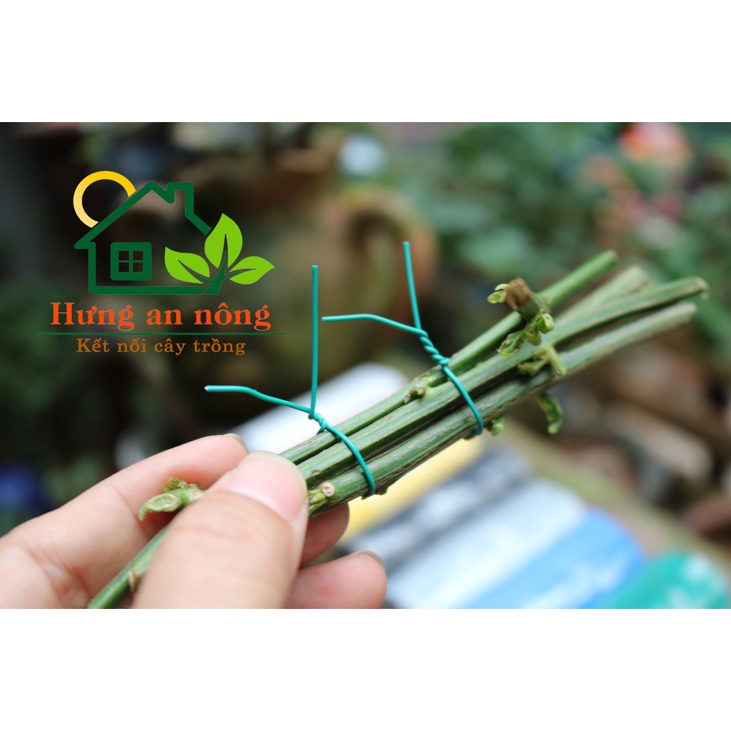 Bó 1.000 sợi kẽm bọc nhựa dạng tròn, được cắt sẵn 10cm, đường kính 0.9mm - dùng buộc cành, gói quà, buộc linh kiện