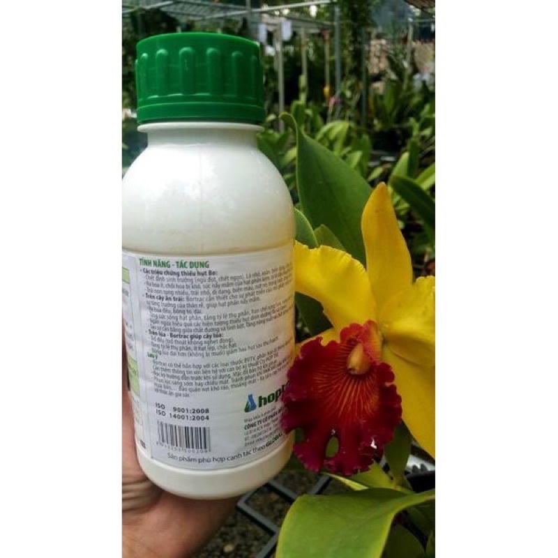 Phân bón lá chống rụng hoa ,rụng trái non BOTRAC
