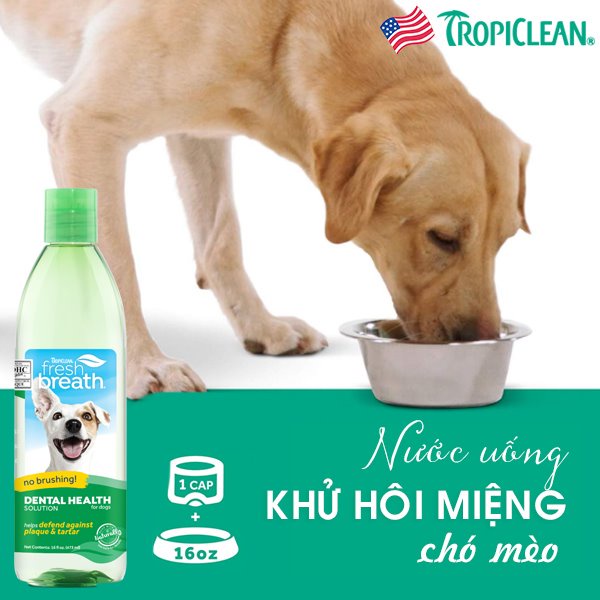 Nước súc miệng cho chó mèo Tropiclean 473ml, vệ sinh chăm sóc răng miệng mảng bám hôi miệng Con Mèo Xiêm