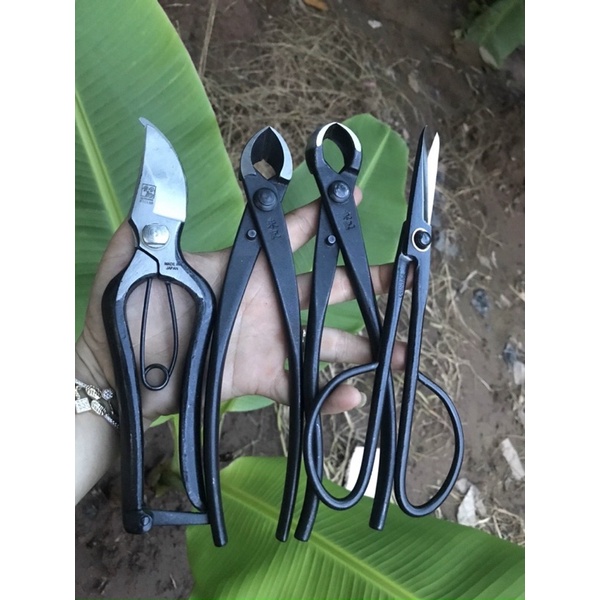 Bộ dụng cụ cắt- tỉa- tạo sẹo cây cảnh- thép đen đúc nguyên khối