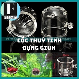 Cốc đựng giun, trùn chỉ-Cốc thuỷ tinh đựng giun cho bể cá cảnh