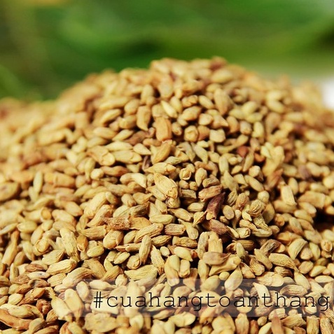 TRÀ NỤ HOA HOÈ THÁI BÌNH SẤY THƠM, GIAO HÀNG NHANH MIỄN PHÍ TOÀN QUỐC