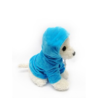 Chó Poople mặc áo hoodie