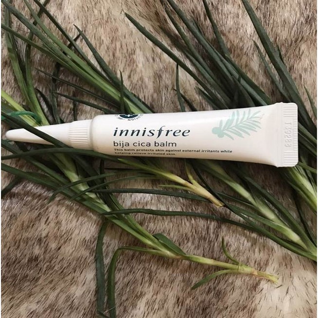 Kem chấm mụn Innisfree Bija Cica Balm