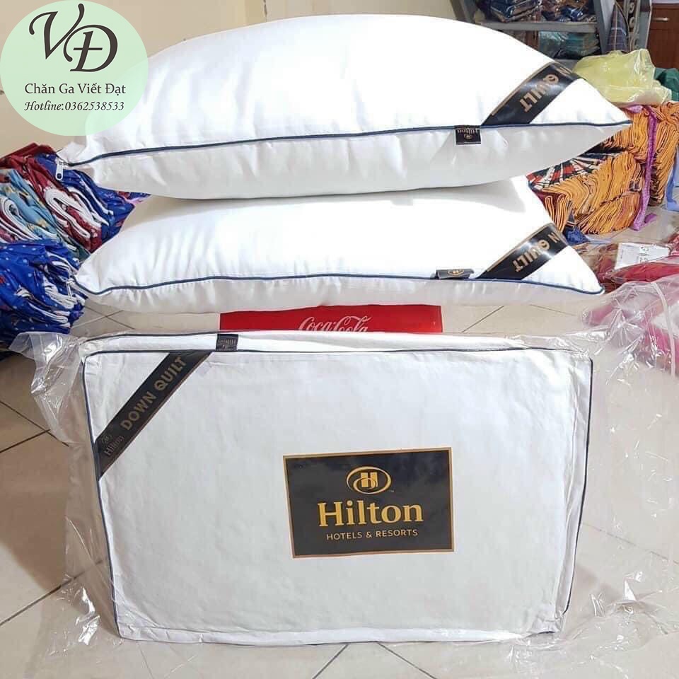 Ruột Gối Đầu Hitton Có Khoá Kéo Cao Cấp - Kích Thước: 50cm x 70cm - Được Chọn Màu