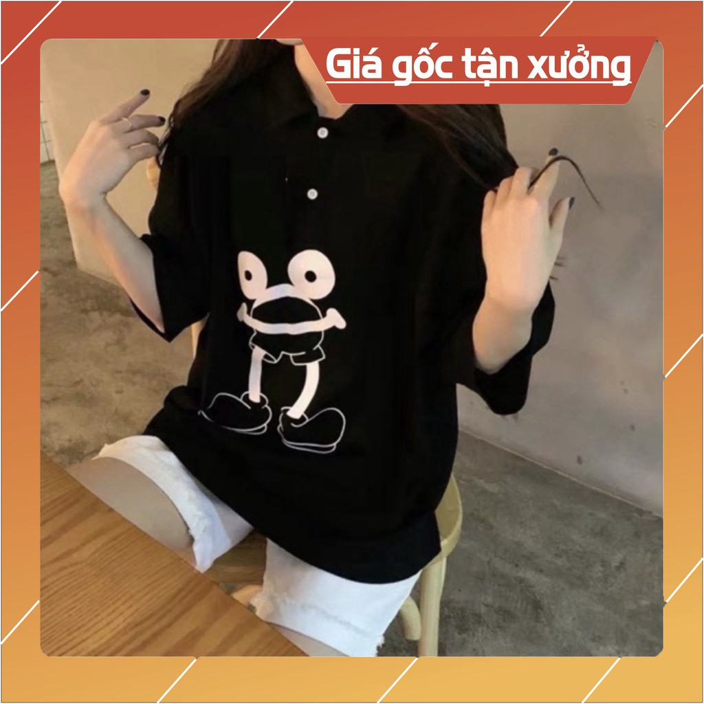 Áo polo ếch HĐ12