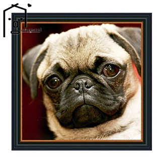 Bộ Tranh Đính Đá 5d Tự Làm Hình Chú Chó Pug Đáng Yêu (13.7X13.7 Inches)