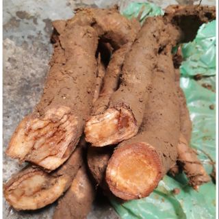 củ gai tươi 2.5kg