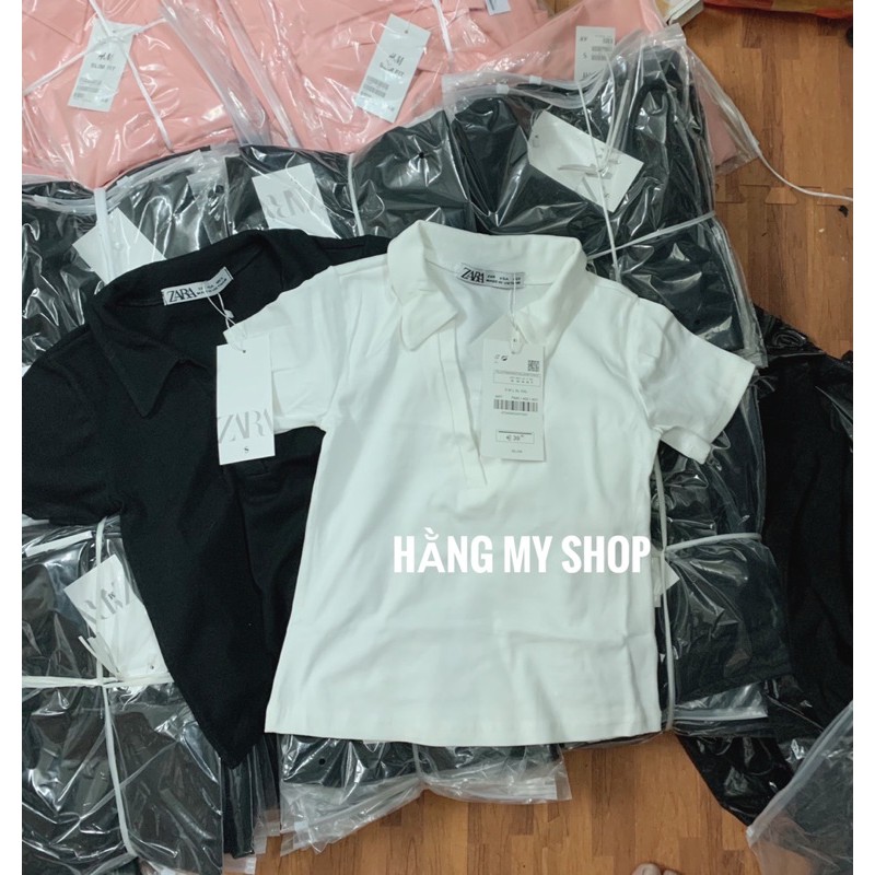 Áo Phông Cổ V Polo hàng vnxk Chất Đẹp | BigBuy360 - bigbuy360.vn