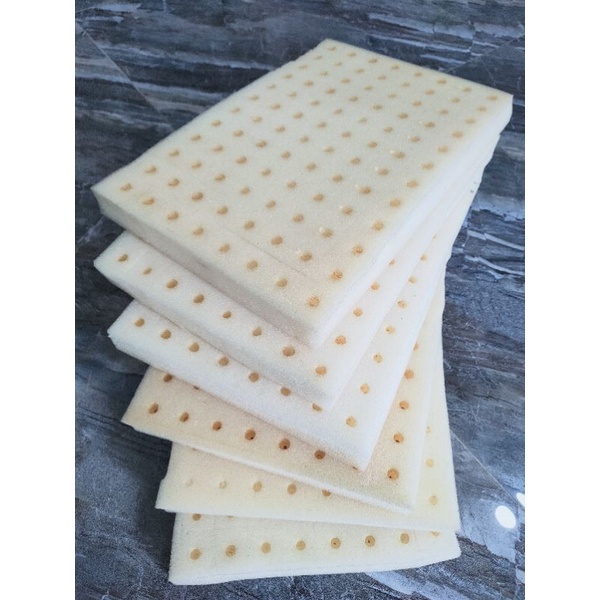 💥  Mút ươm Thủy canh🌱