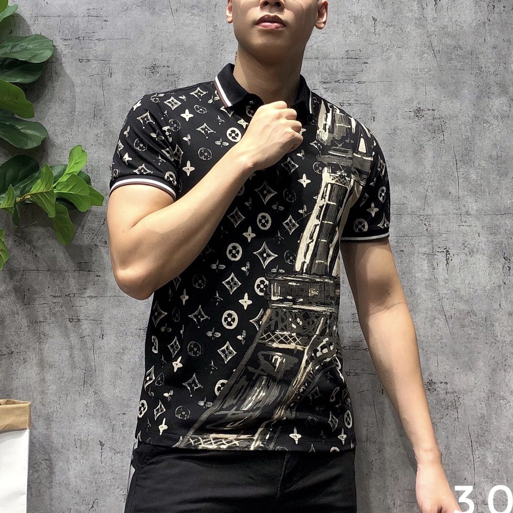 Áo phông cổ bẻ polo nam bigsize áo thun thời trang cao cấp APQZB - 12 - 3040