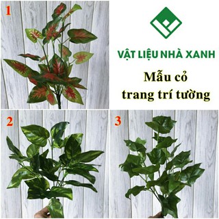 Quận 12 - Cây Cỏ Điểm - Trang Trí Thảm Cỏ Treo Tường Giá Tốt