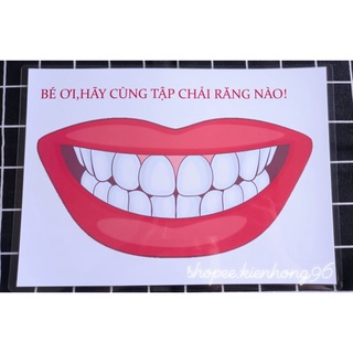 Học liệu Mô hình Hàm răng giúp bé phát triển vận động tinh