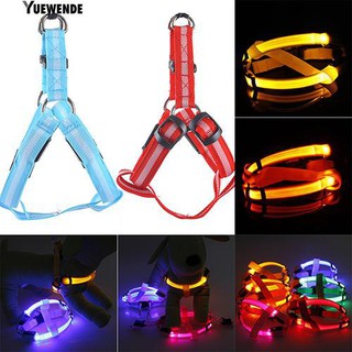 Dây đeo cổ thú cưng có đèn LED phát sáng