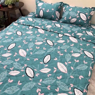 Chăn hè thu trần bông poly cotton trần 2 mặt dùng trực tiếp