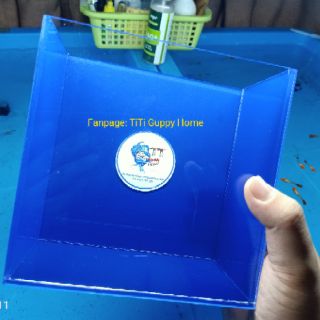 Hồ Show Cá Acrylic