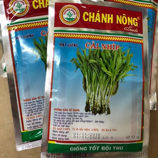 Hạt giống Cải Nhíp
