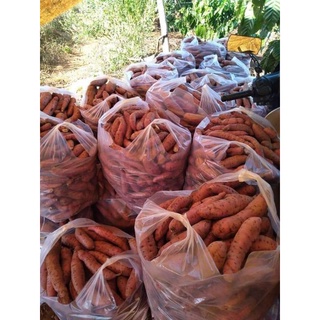Khoai lang mật Tà Nung