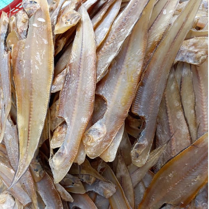 Khô cá lưỡi trâu Cà Mau loại trung, Không mặn, vừa ăn